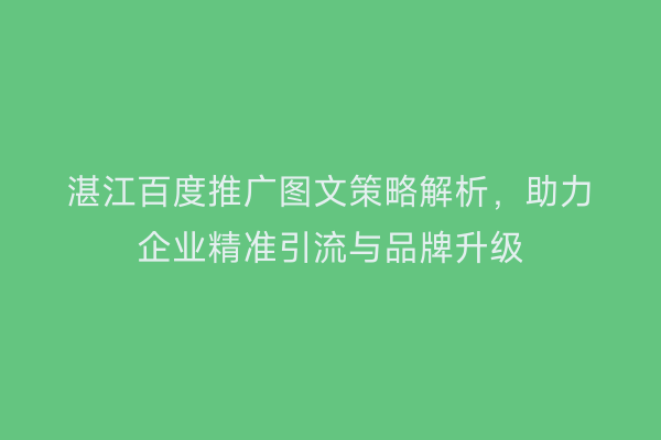 湛江百度推广图文策略解析,助力企业精准引流与品牌升级