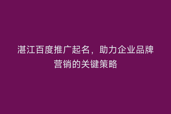湛江百度推广起名,助力企业品牌营销的关键策略