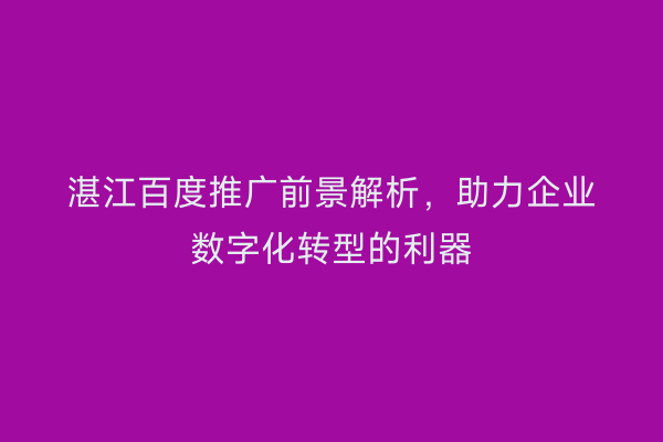 湛江百度推广前景解析,助力企业数字化转型的利器