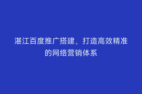 湛江百度推广搭建,打造高效精准的网络营销体系