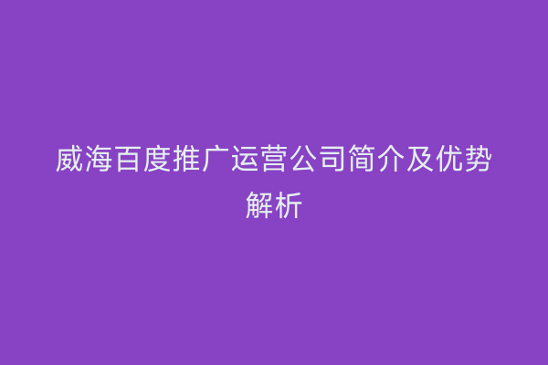 威海百度推广运营公司简介及优势解析