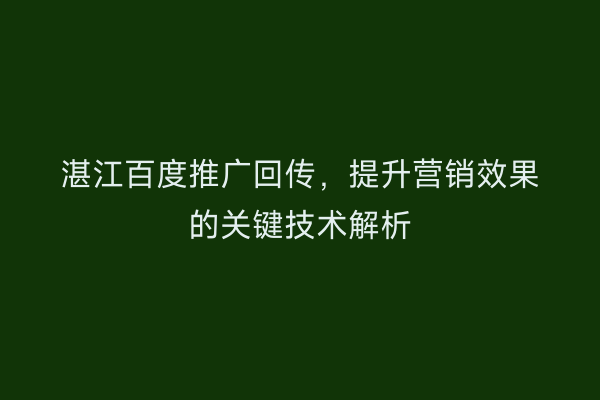 湛江百度推广回传，提升营销效果的关键技术解析