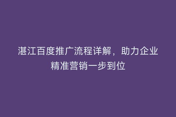 湛江百度推广流程详解，助力企业精准营销一步到位
