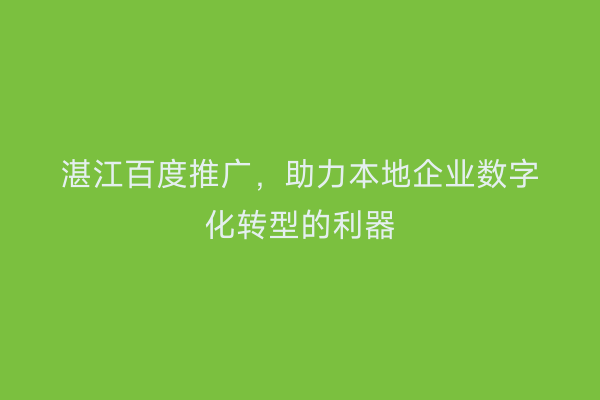 湛江百度推广,助力本地企业数字化转型的利器