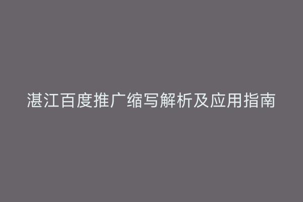 湛江百度推广缩写解析及应用指南