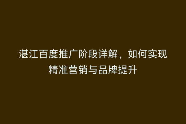 湛江百度推广阶段详解,如何实现精准营销与品牌提升