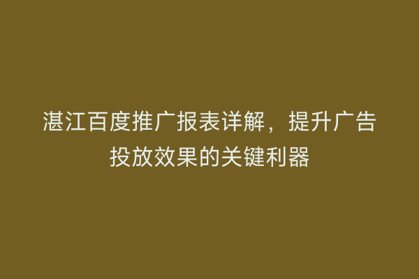 湛江百度推广报表详解,提升广告投放效果的关键利器