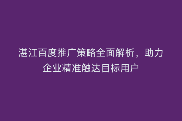 湛江百度推广策略全面解析,助力企业精准触达目标用户