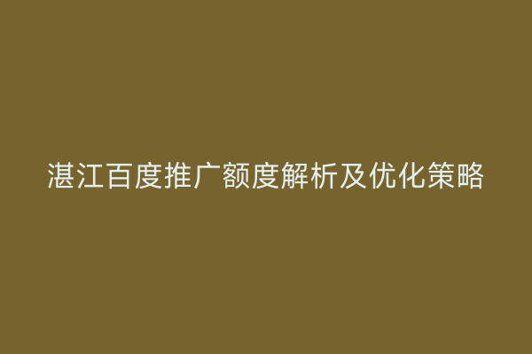 湛江百度推广额度解析及优化策略
