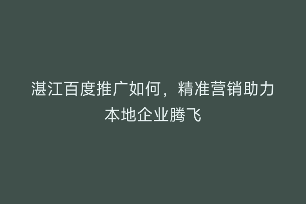湛江百度推广如何,精准营销助力本地企业腾飞