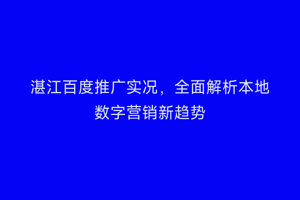 湛江百度推广实况,全面解析本地数字营销新趋势