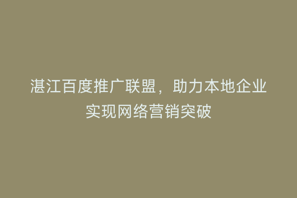 湛江百度推广联盟，助力本地企业实现网络营销突破