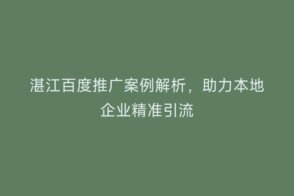 湛江百度推广案例解析,助力本地企业精准引流