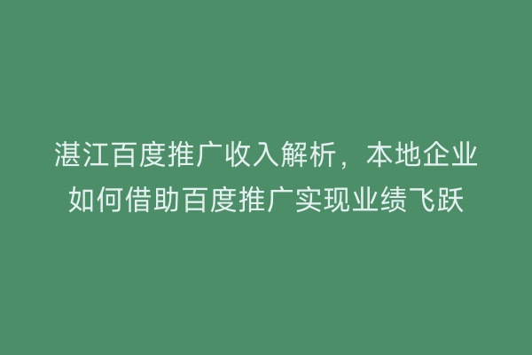 湛江百度推广收入解析,本地企业如何借助百度推广实现业绩飞跃