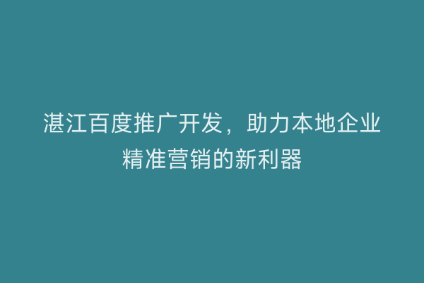 湛江百度推广开发,助力本地企业精准营销的新利器