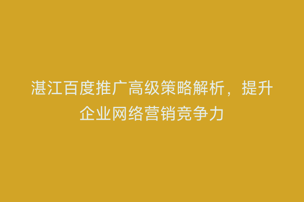 湛江百度推广高级策略解析，提升企业网络营销竞争力