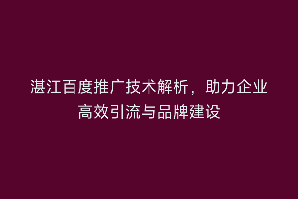 湛江百度推广技术解析，助力企业高效引流与品牌建设