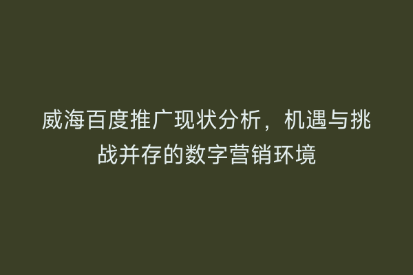威海百度推广现状分析,机遇与挑战并存的数字营销环境