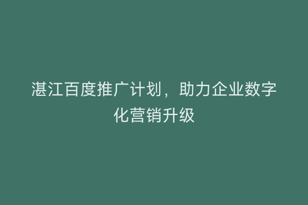 湛江百度推广计划，助力企业数字化营销升级