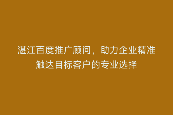 湛江百度推广顾问，助力企业精准触达目标客户的专业选择