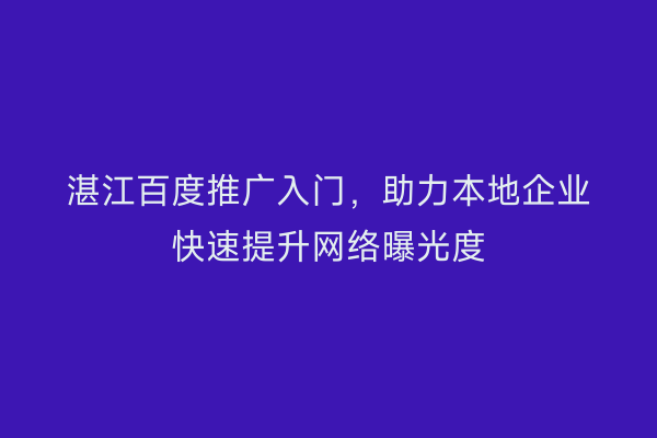 湛江百度推广入门,助力本地企业快速提升网络曝光度
