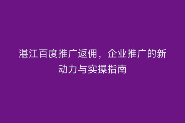 湛江百度推广返佣,企业推广的新动力与实操指南