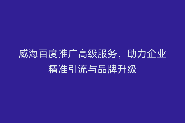 威海百度推广高级服务，助力企业精准引流与品牌升级