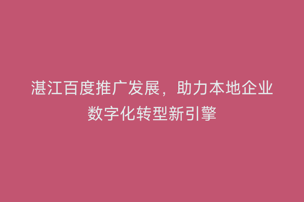 湛江百度推广发展,助力本地企业数字化转型新引擎
