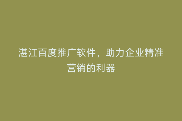 湛江百度推广软件,助力企业精准营销的利器