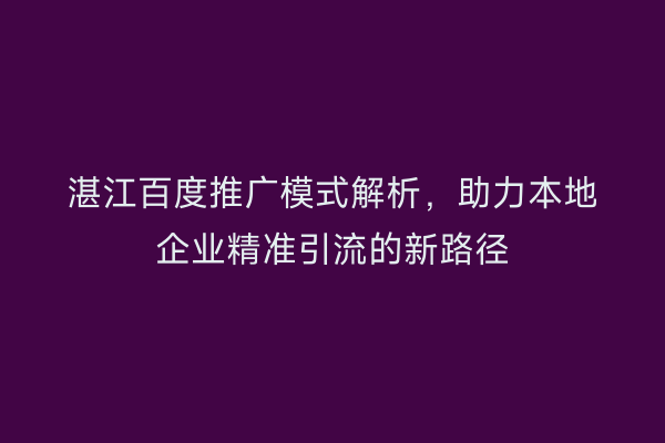湛江百度推广模式解析,助力本地企业精准引流的新路径