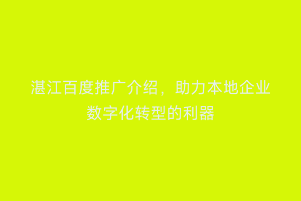 湛江百度推广介绍,助力本地企业数字化转型的利器
