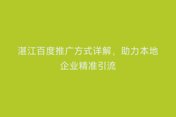 湛江百度推广方式详解,助力本地企业精准引流