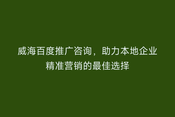 威海百度推广咨询，助力本地企业精准营销的最佳选择