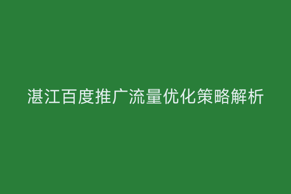 湛江百度推广流量优化策略解析
