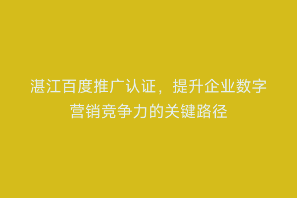 湛江百度推广认证,提升企业数字营销竞争力的关键路径