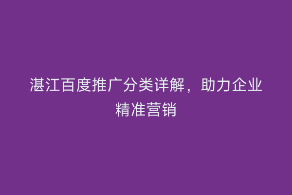 湛江百度推广分类详解,助力企业精准营销