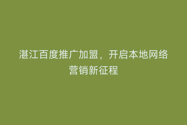 湛江百度推广加盟,开启本地网络营销新征程