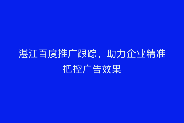 湛江百度推广跟踪，助力企业精准把控广告效果