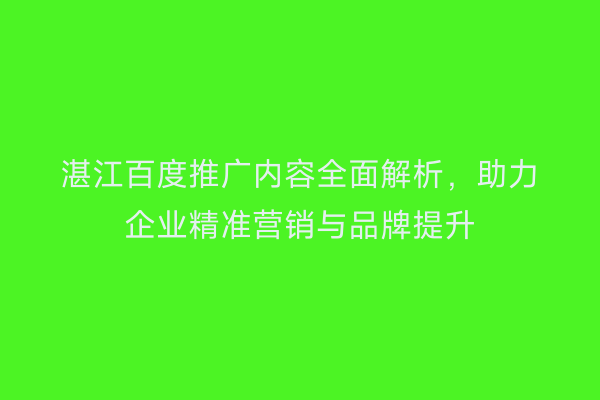 湛江百度推广内容全面解析,助力企业精准营销与品牌提升