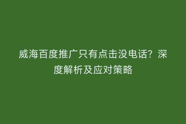 威海百度推广只有点击没电话?深度解析及应对策略