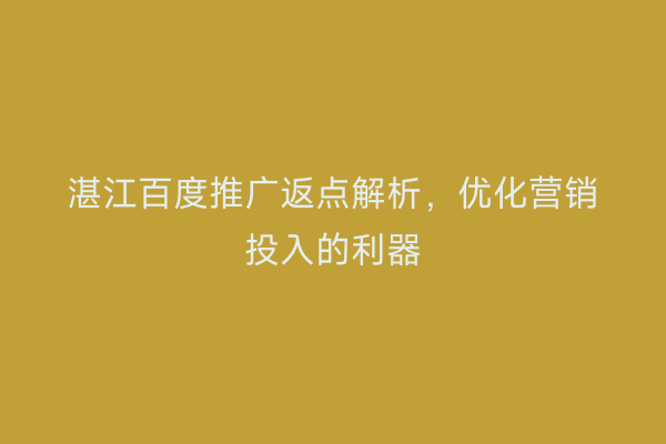 湛江百度推广返点解析,优化营销投入的利器