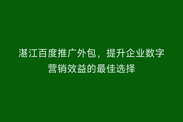 湛江百度推广外包,提升企业数字营销效益的最佳选择