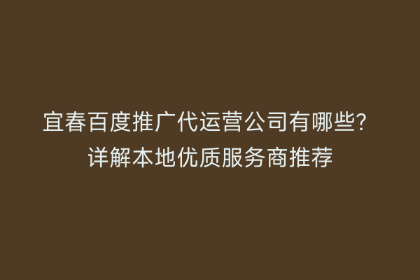 宜春百度推广代运营公司有哪些?详解本地优质服务商推荐