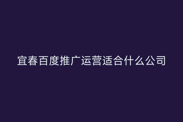 宜春百度推广运营适合什么公司