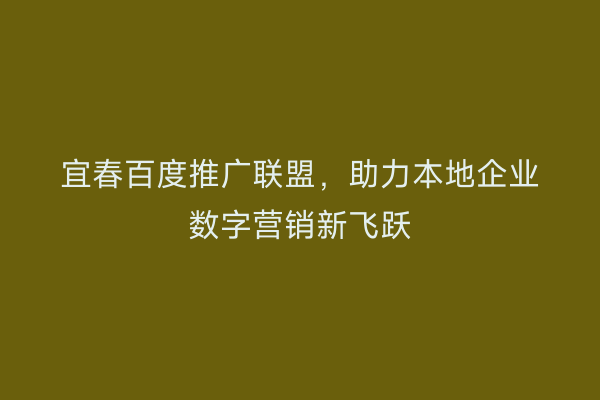 宜春百度推广联盟，助力本地企业数字营销新飞跃