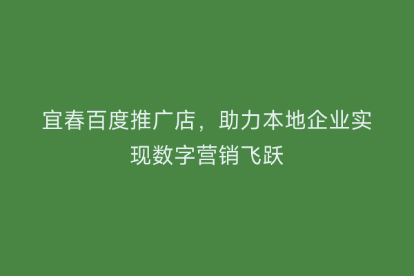 宜春百度推广店,助力本地企业实现数字营销飞跃