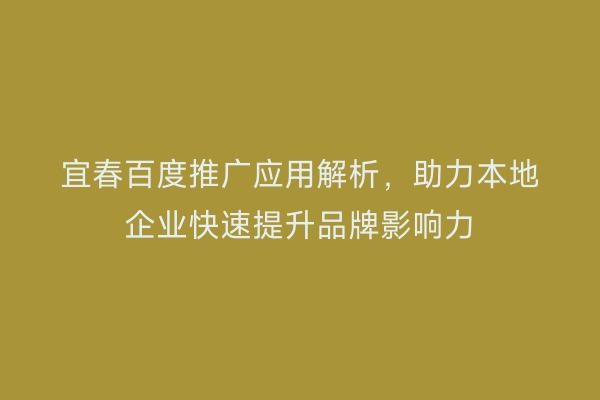 宜春百度推广应用解析，助力本地企业快速提升品牌影响力