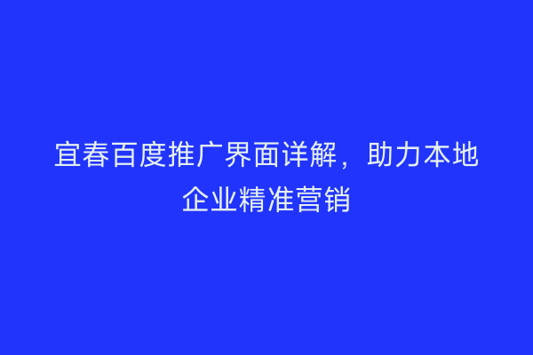 宜春百度推广界面详解，助力本地企业精准营销