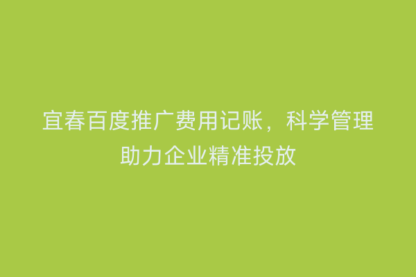 宜春百度推广费用记账，科学管理助力企业精准投放