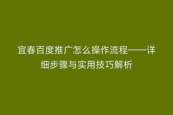宜春百度推广怎么操作流程——详细步骤与实用技巧解析